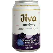 Комбуча Jiva Божевільна Бузина жб 330ml